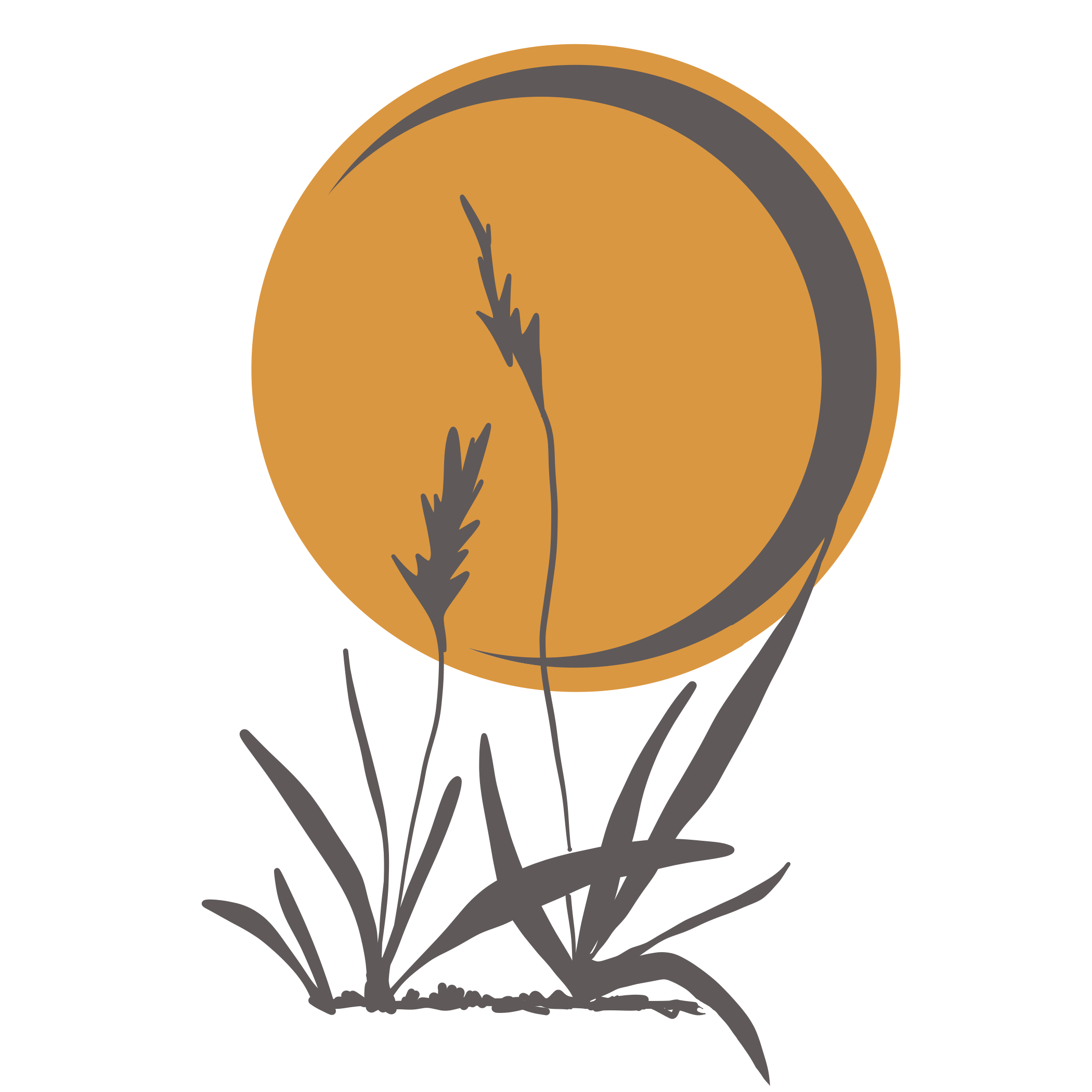 moon and grasses graphic